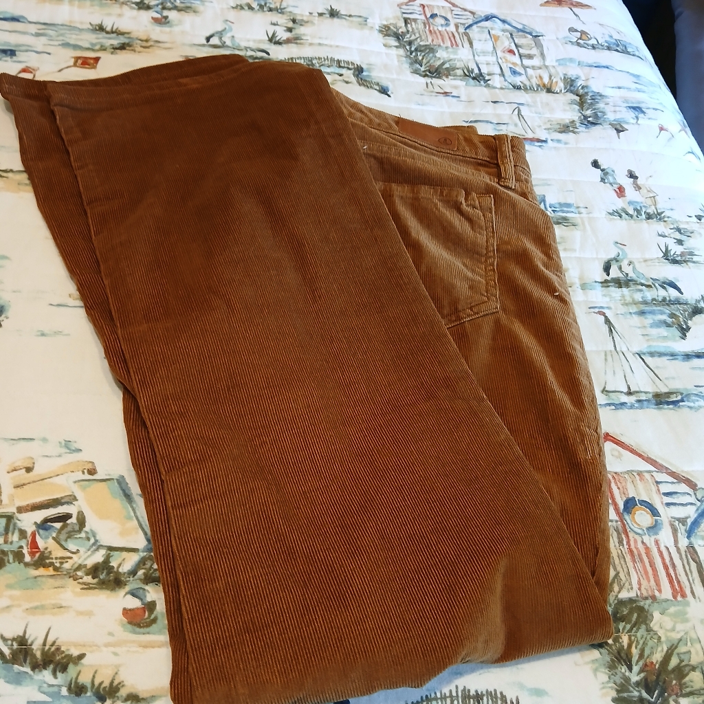 10 Landsend Corduroy Bootcut Nwt — image 3 of 8